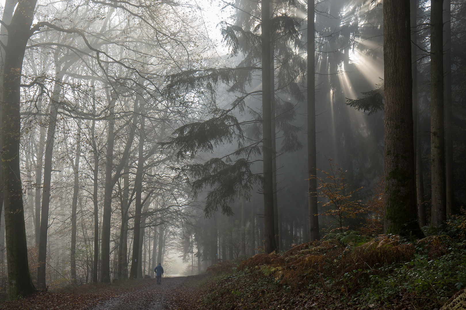 Lichtblicke