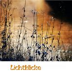 "LICHTBLICKE"