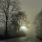 Lichtblicke ...