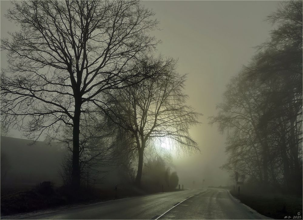 Lichtblicke ...