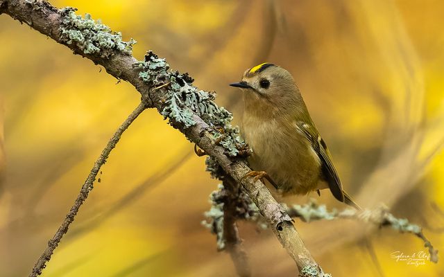 °°_Lichtblicke_°°