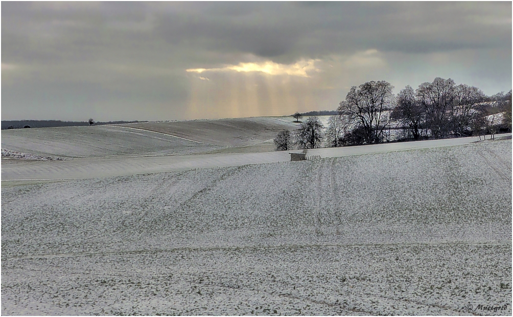 ~ Lichtblicke ~