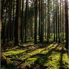 Lichtblicke im Harz