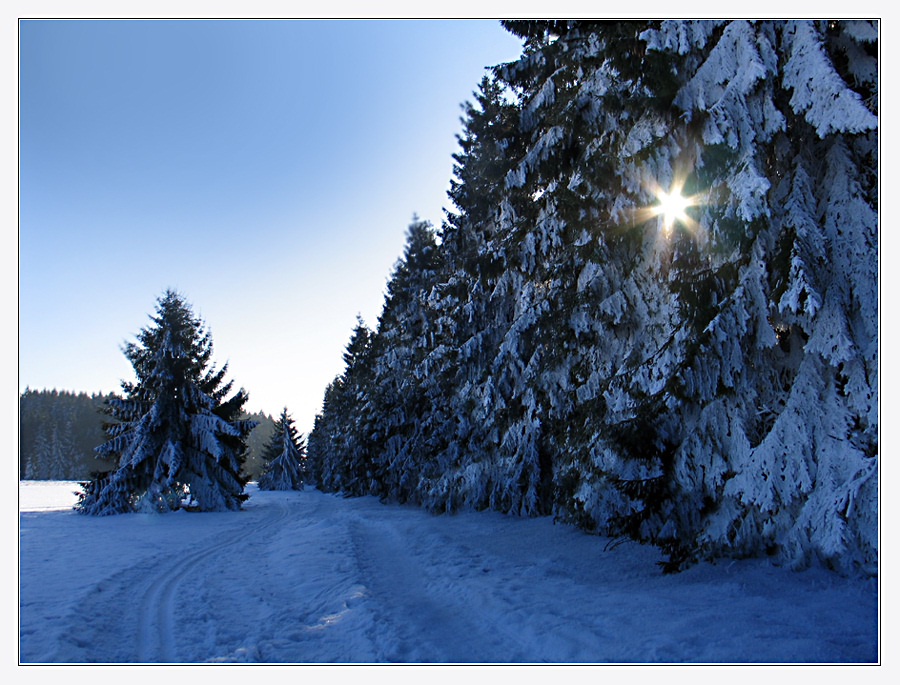 Lichtblicke im Leben