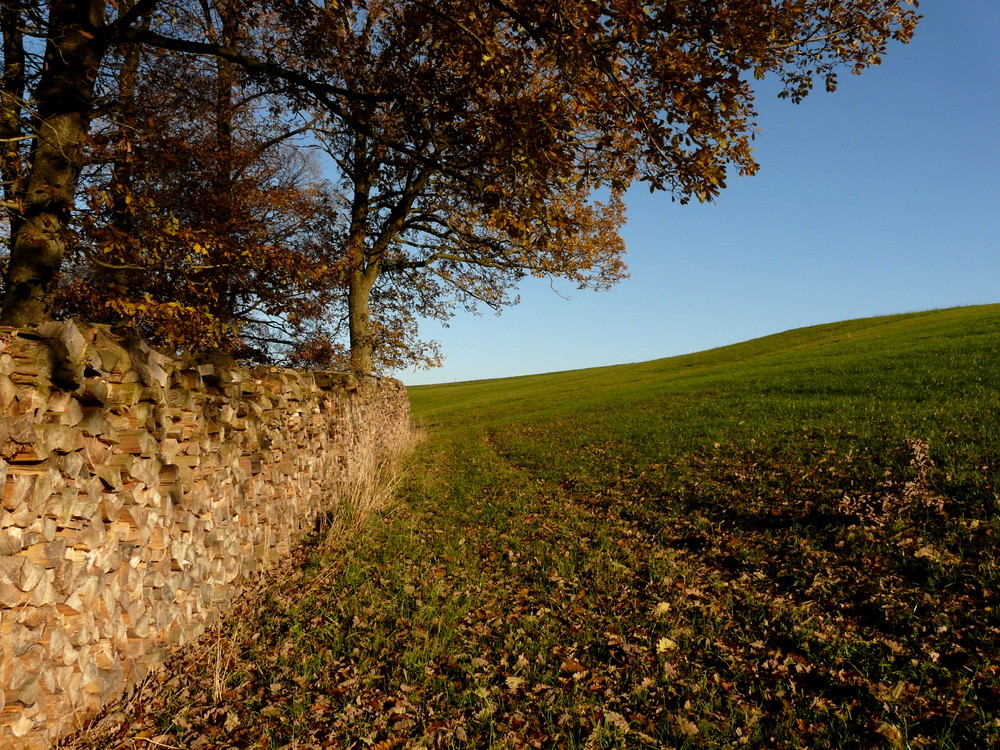 Lichtblicke im November