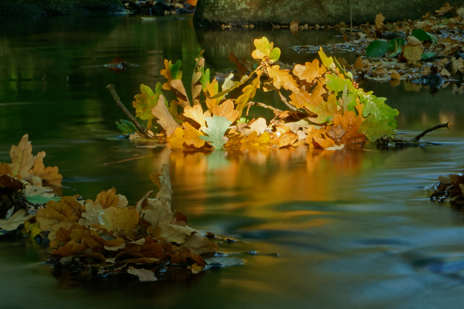 Lichtblicke nutzen... Langzeitbelichtung im Herbst.