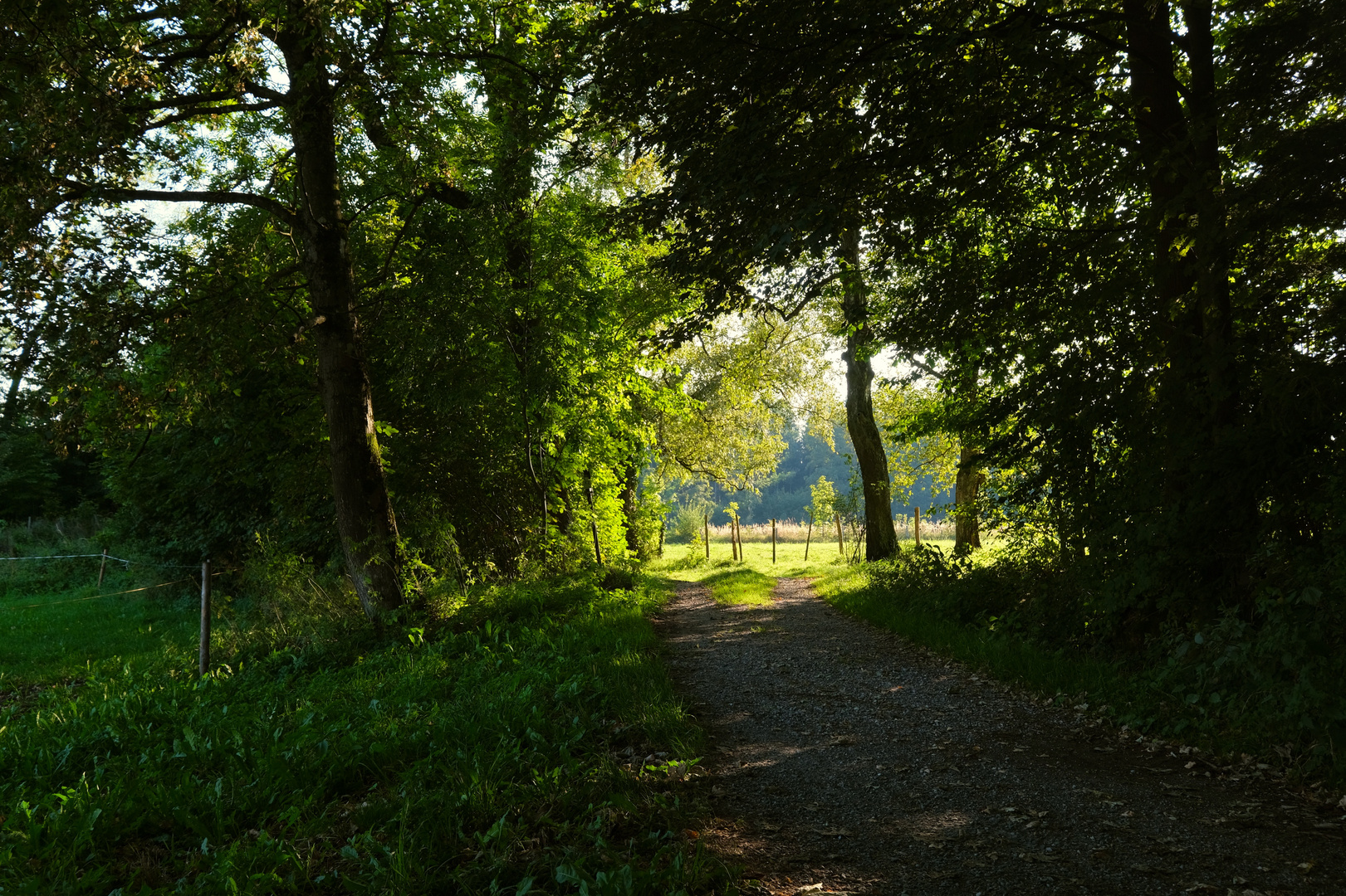 Lichtblicke und lange Schatten