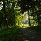 Lichtblicke und lange Schatten