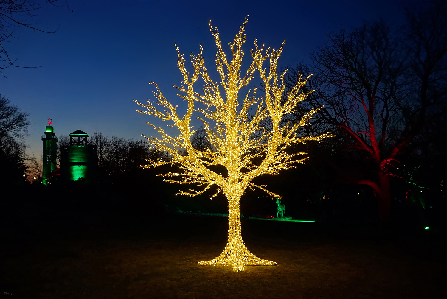 Lichtblüte