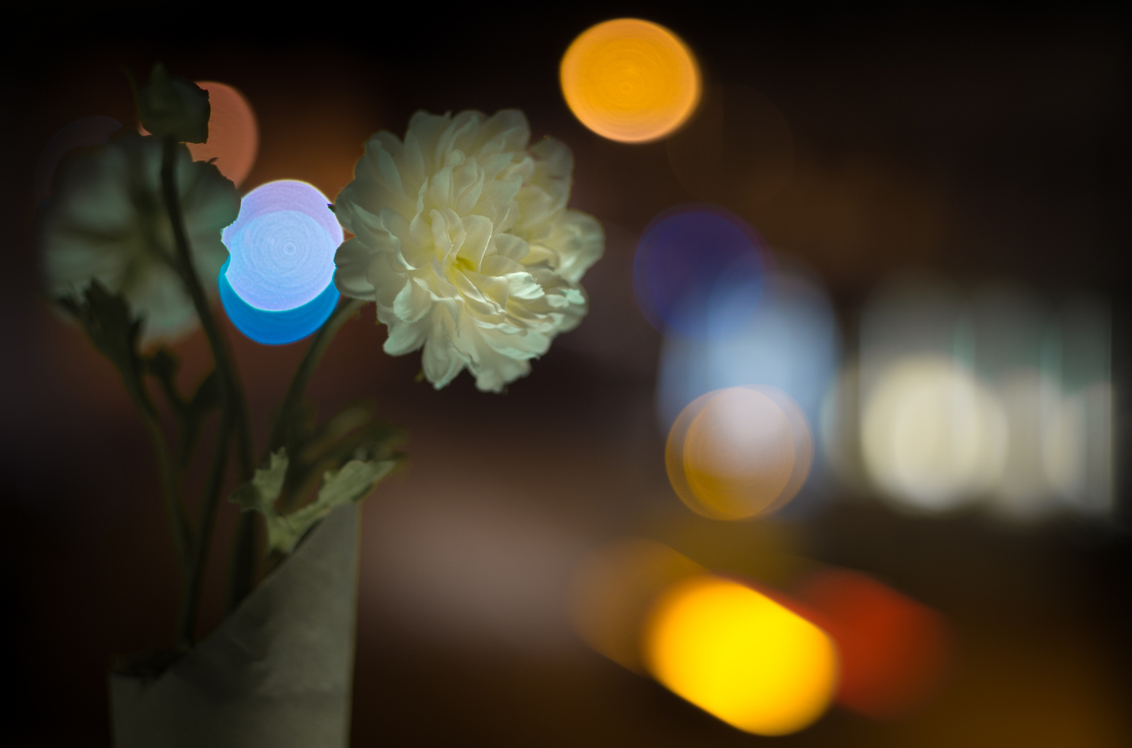 Lichtblume(n)