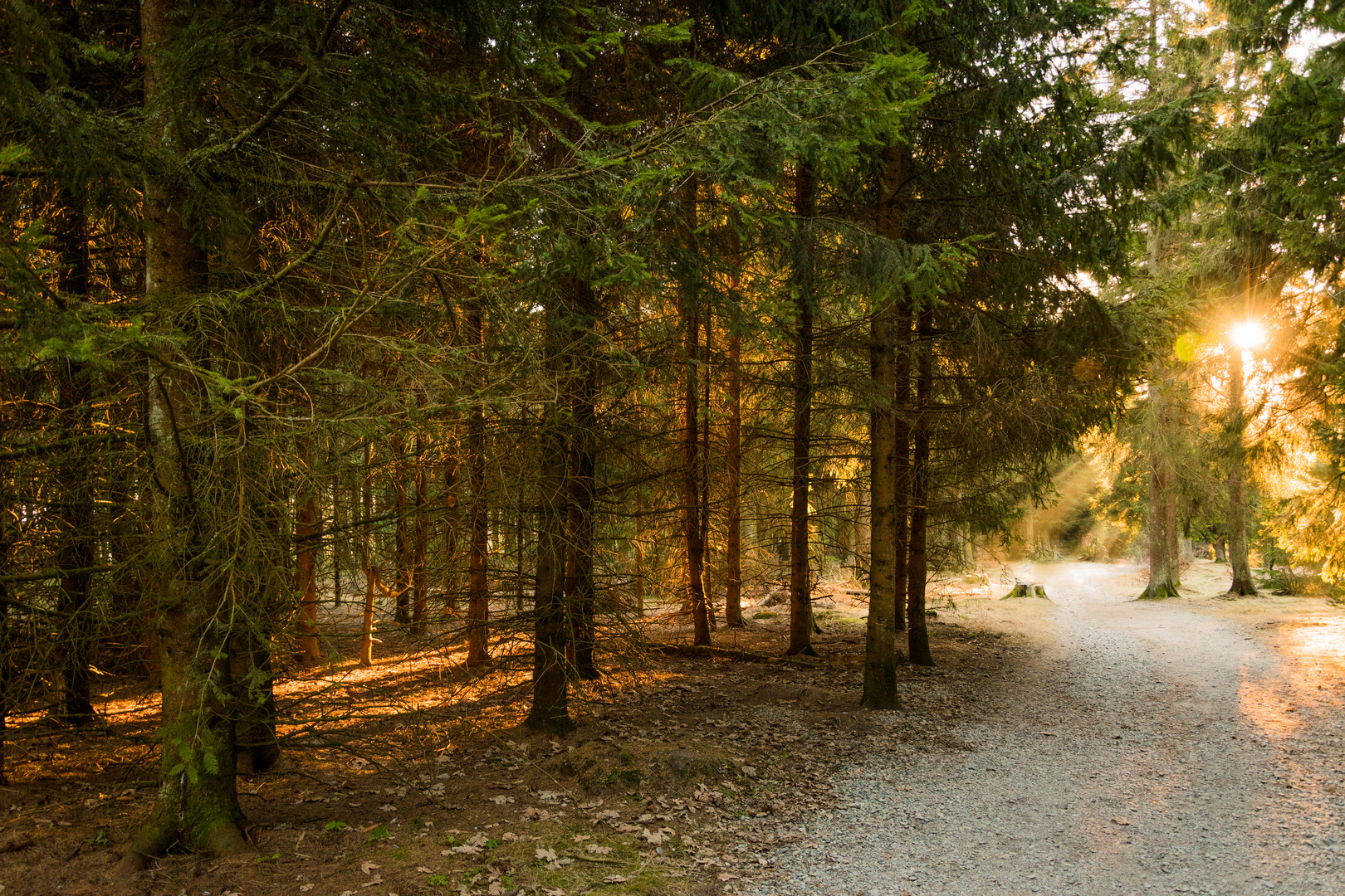 Lichtbrechung auf dem Feldberg