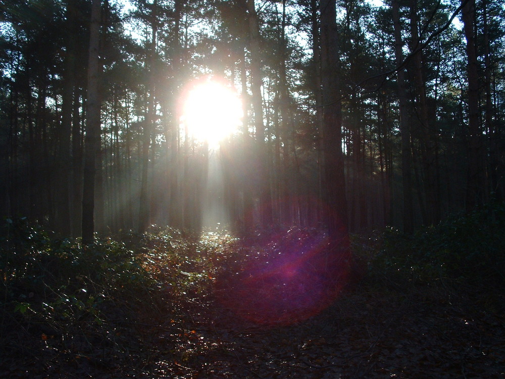 Lichtdurchbruch