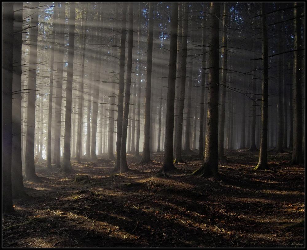 Lichtdurchflutet