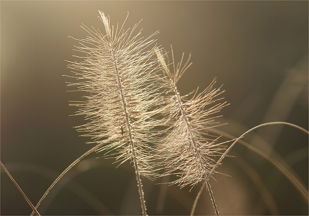 Lichtdurchflutet