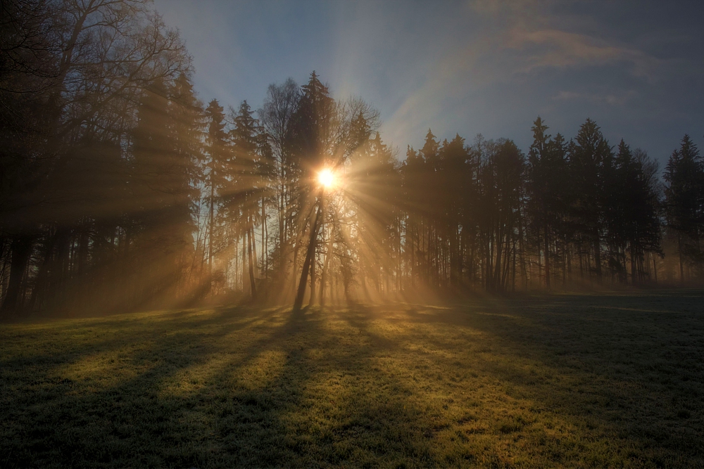 Lichtdurchflutet