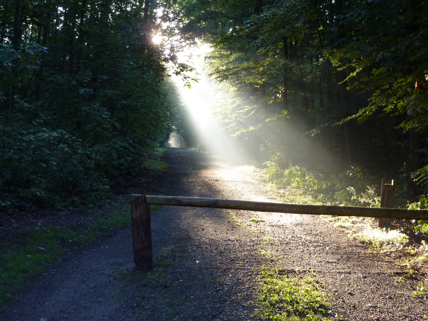 Lichtdurchflutet