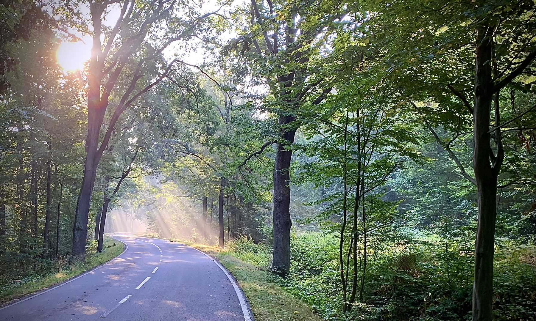 Lichtdurchflutet