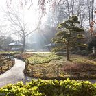 Lichtdurchfluteter Japangarten