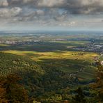 Lichte Momente in der Pfalz die 1., Archiv wird aufgeräumt.