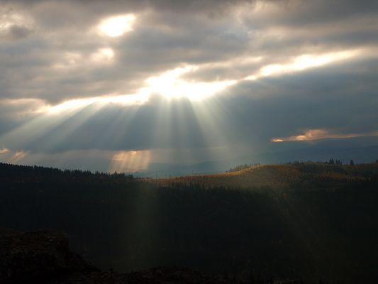 Lichte Momente sammeln