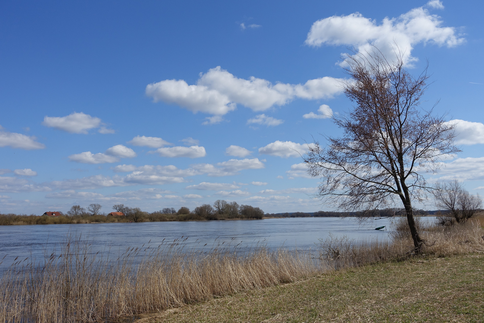 Lichte Wolken über der Elbe