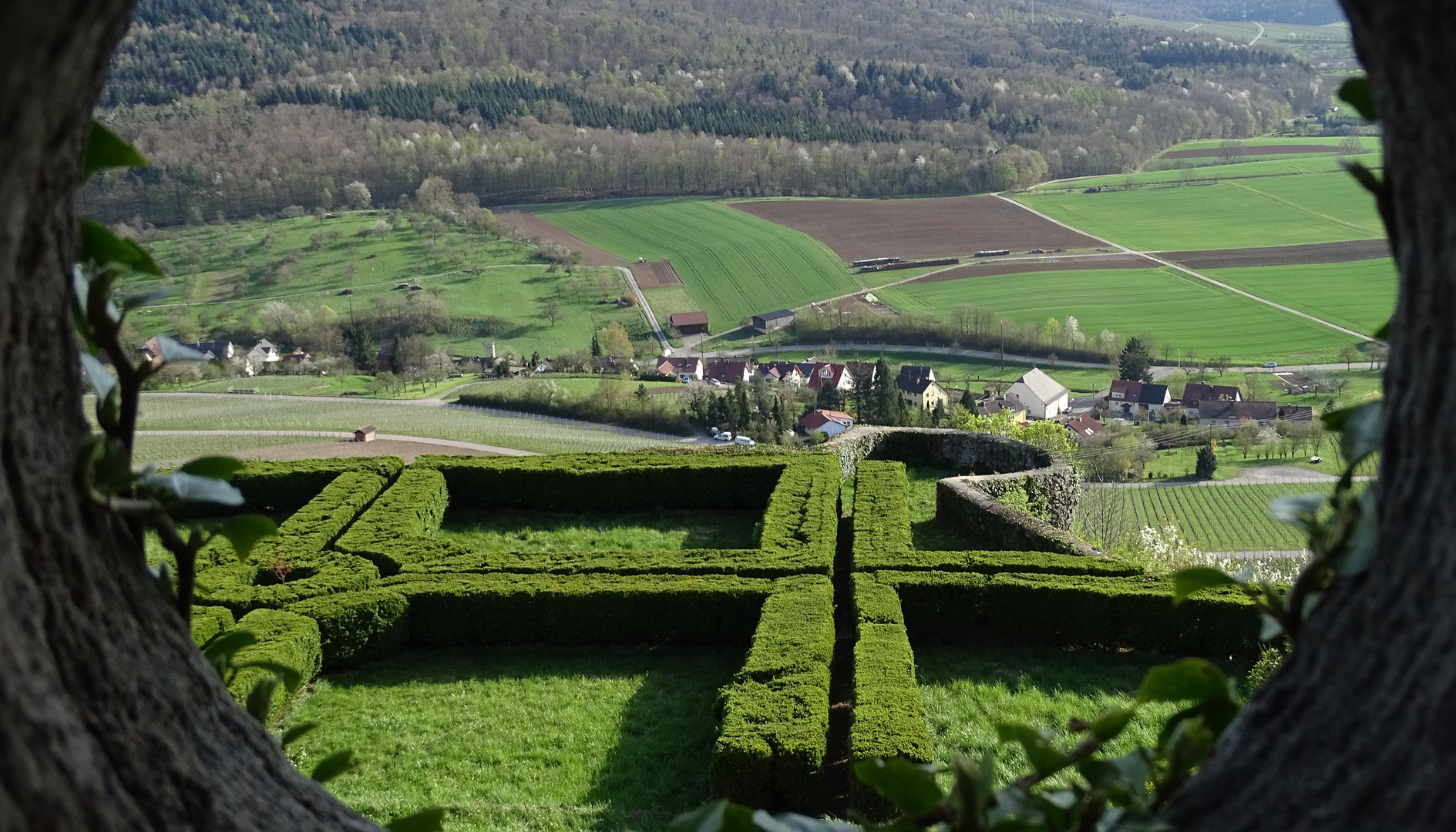 Lichtenberg-Durchblick