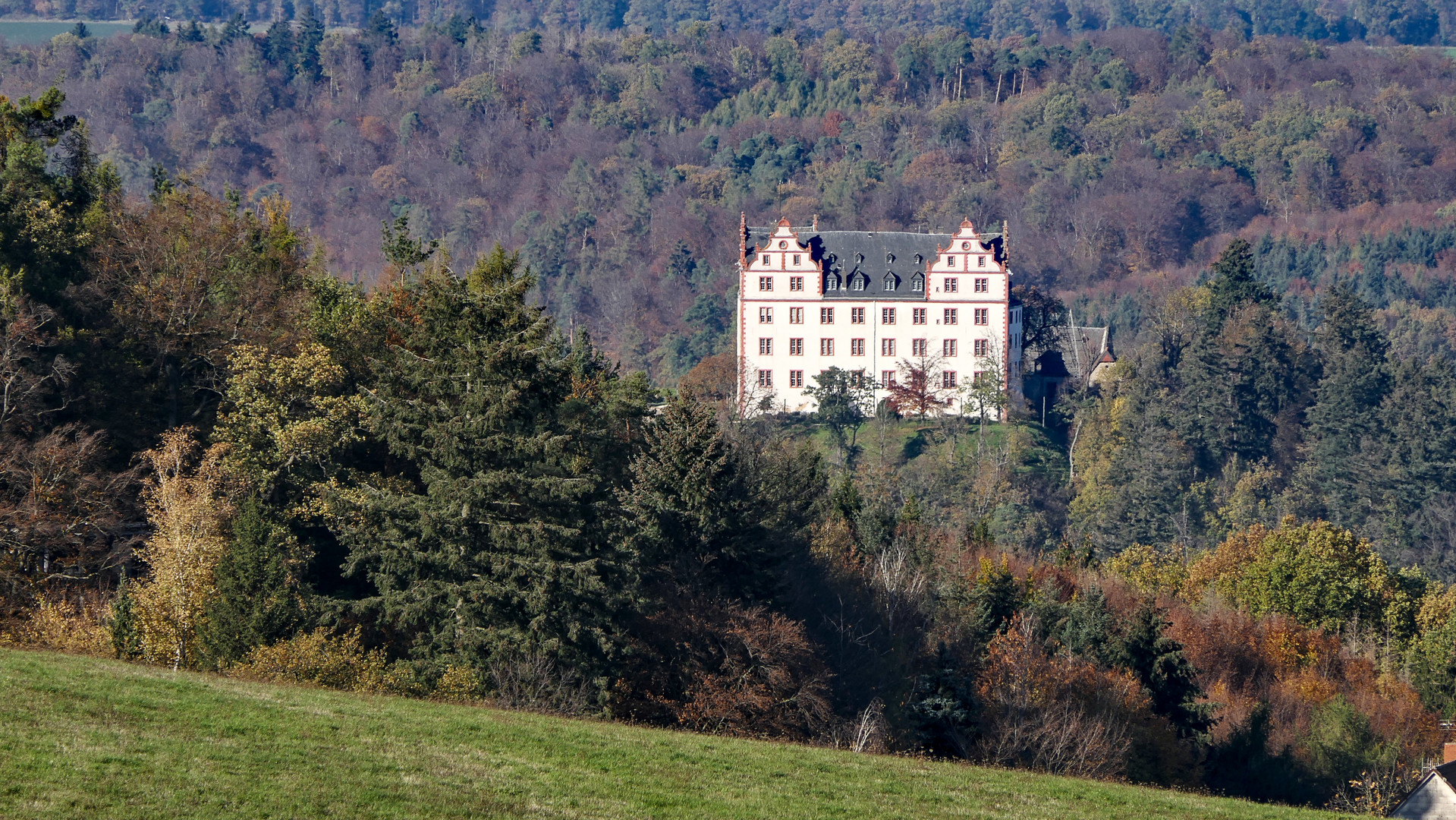 lichtenberg