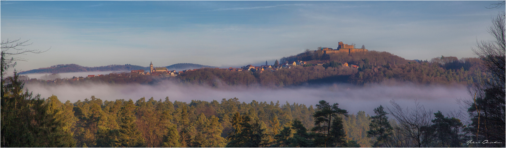 Lichtenberg sort de la brume