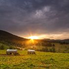 Lichtental, Sonnenaufgang.