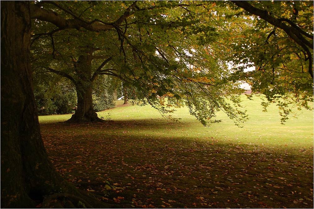 Lichtentaler Allee Baden-Baden