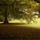 Lichtentaler Allee Baden-Baden