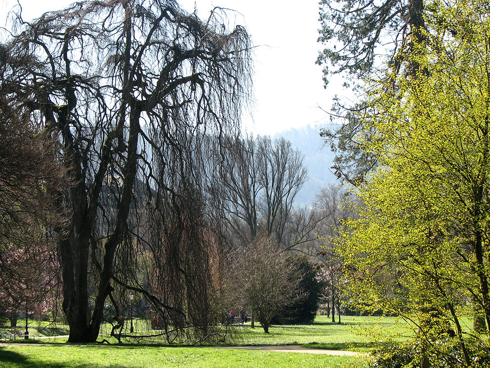 Lichtentaler Allee