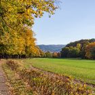 Lichtentaler Allee und Klosterwiese