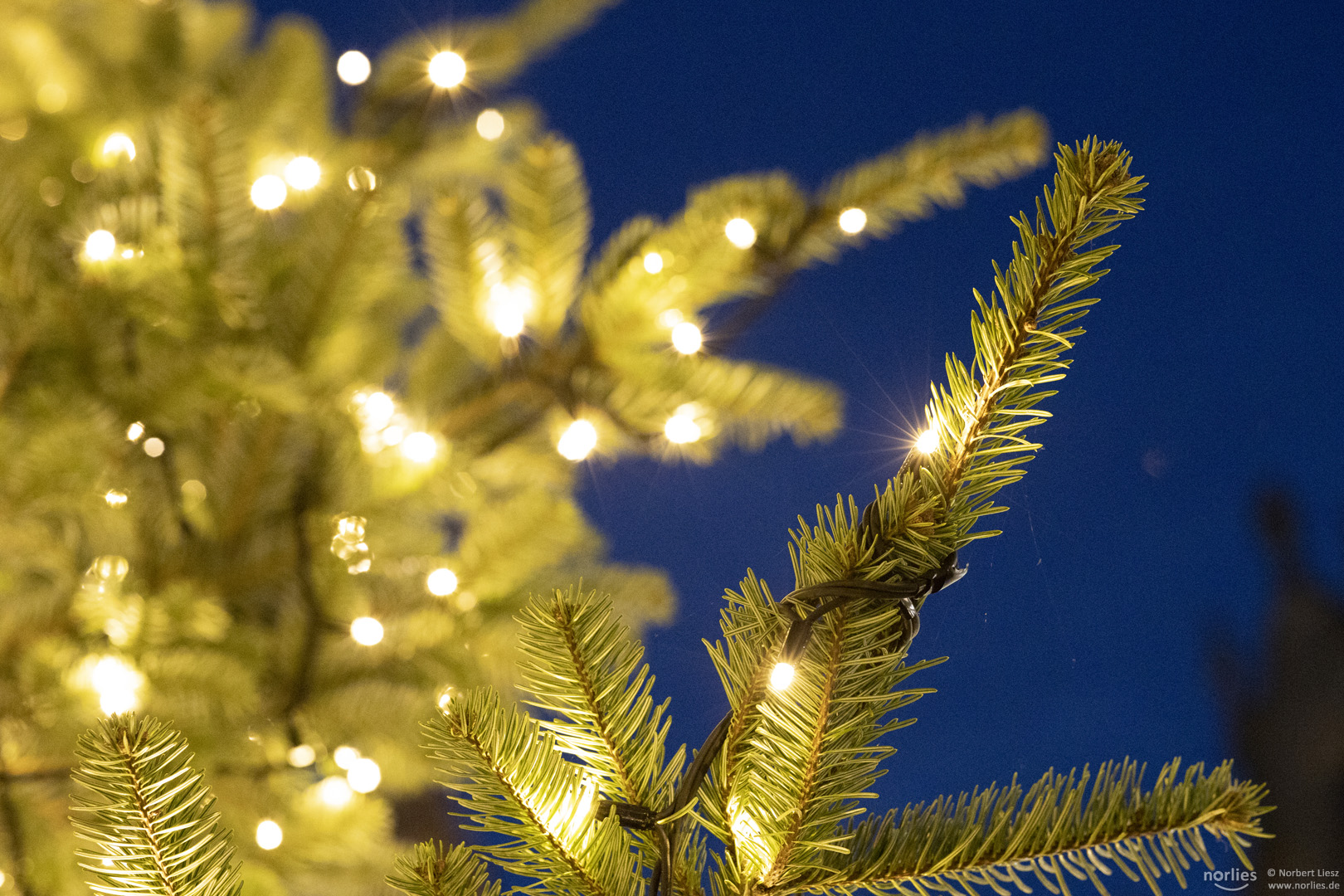 Lichter am Christbaum