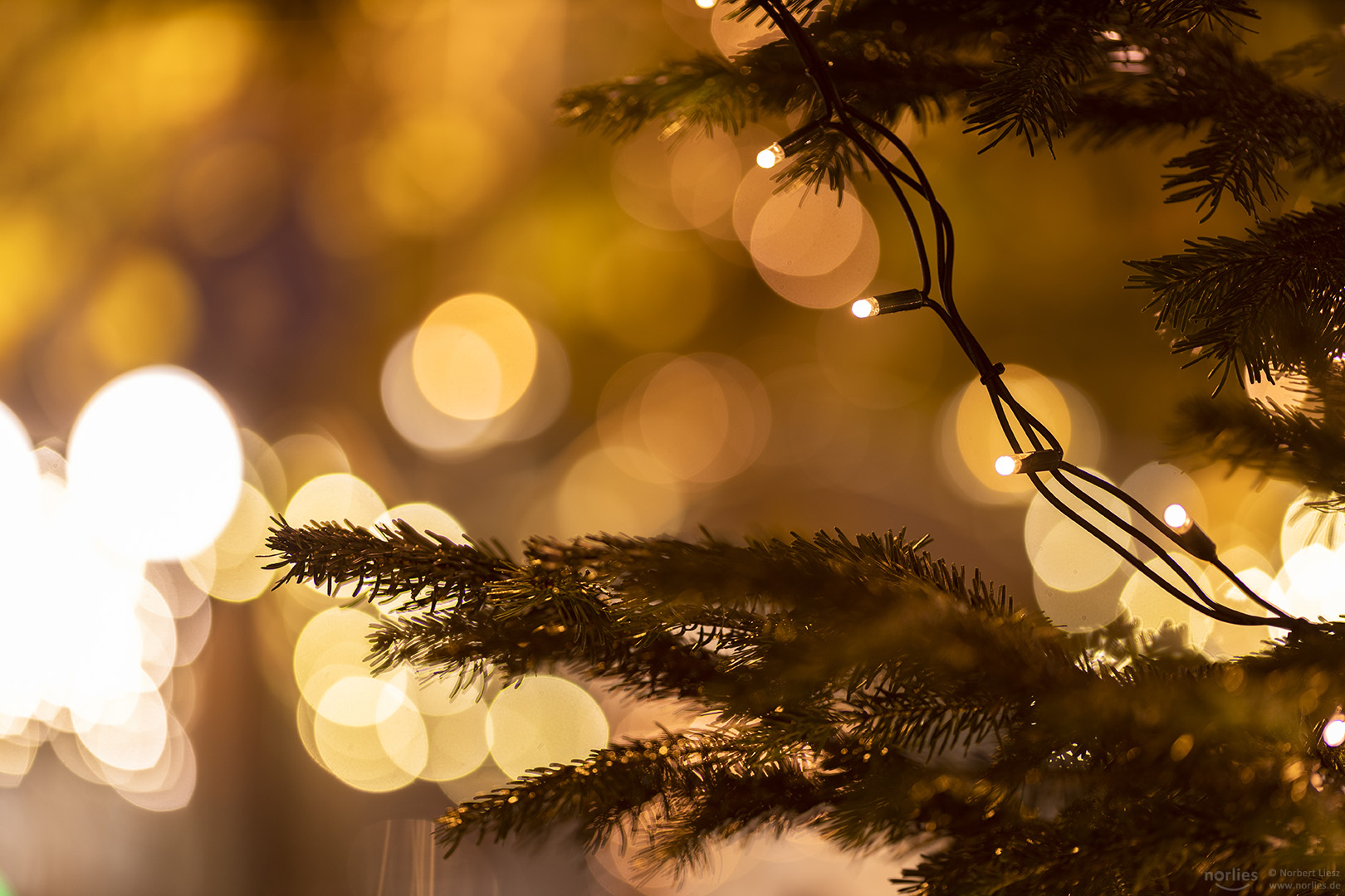 Lichter am Christbaum