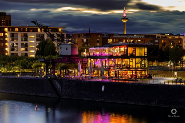 Lichter am Mainufer (Oosten Frankfurt)