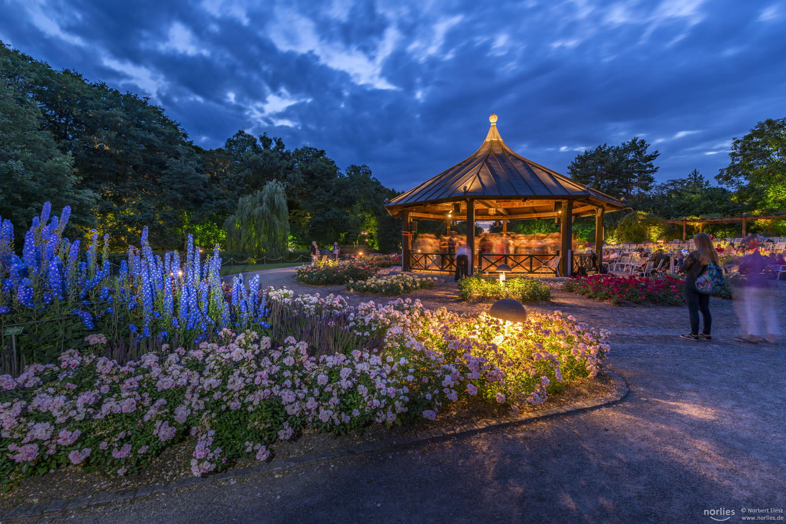 Lichter am Rosenpavillon