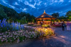 Lichter am Rosenpavillon