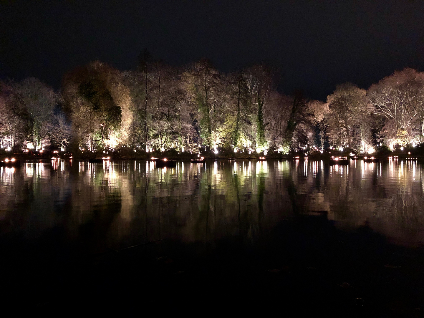 Lichter am See