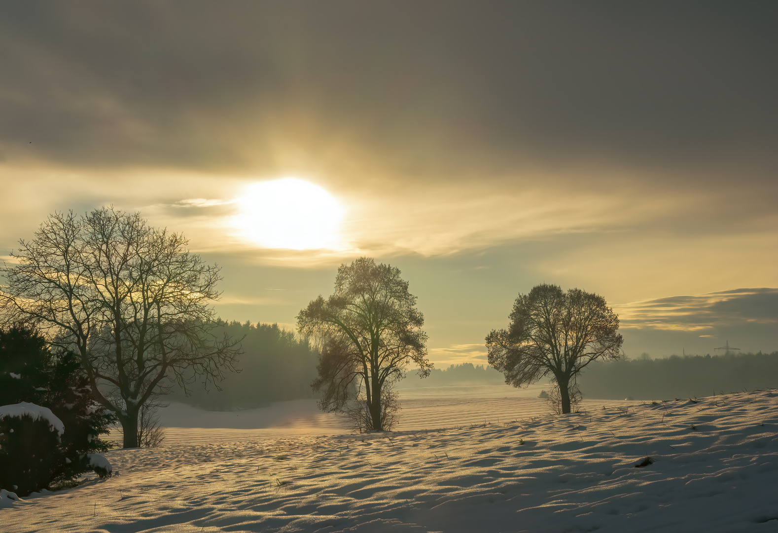 Lichter des Winters