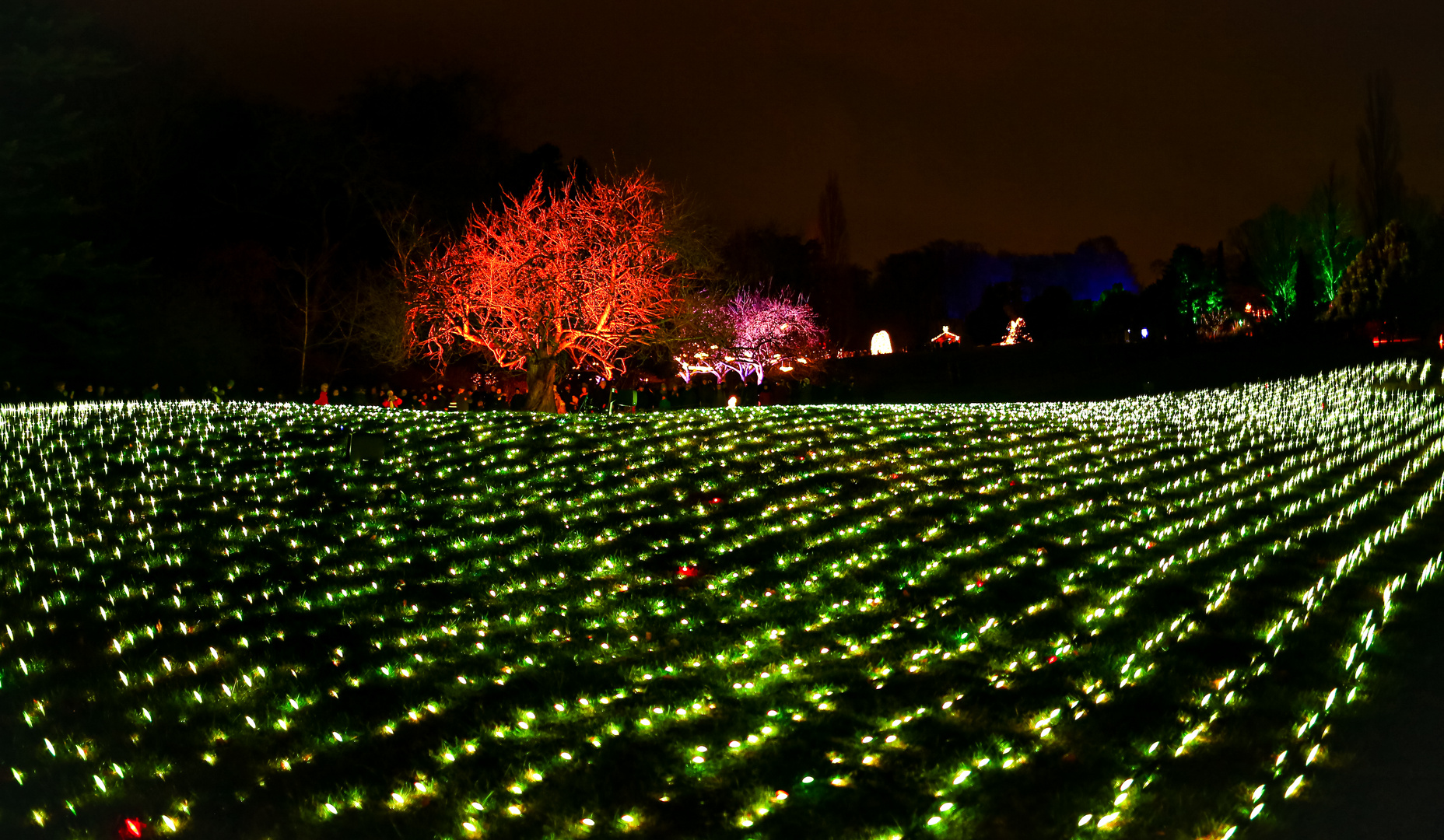 Lichter-Felde