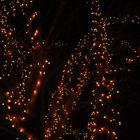 Lichter im Baum