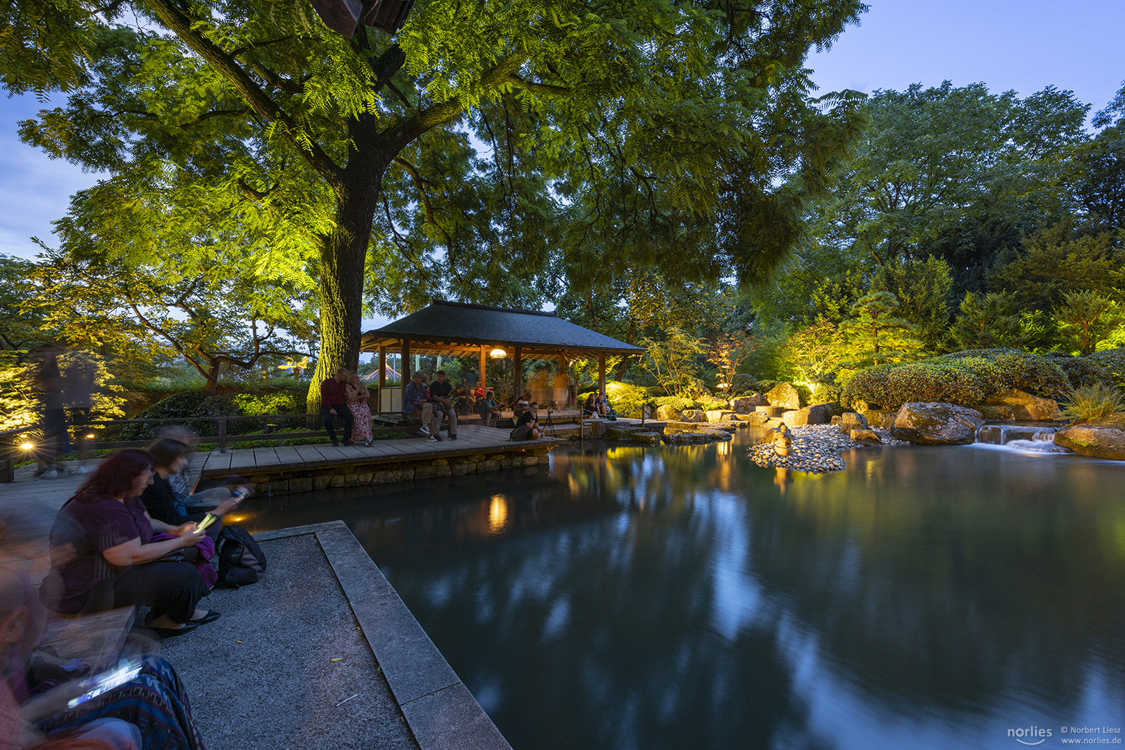 Lichter im Japangarten