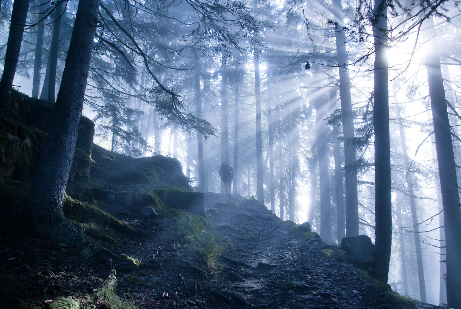 Lichter im Nebel