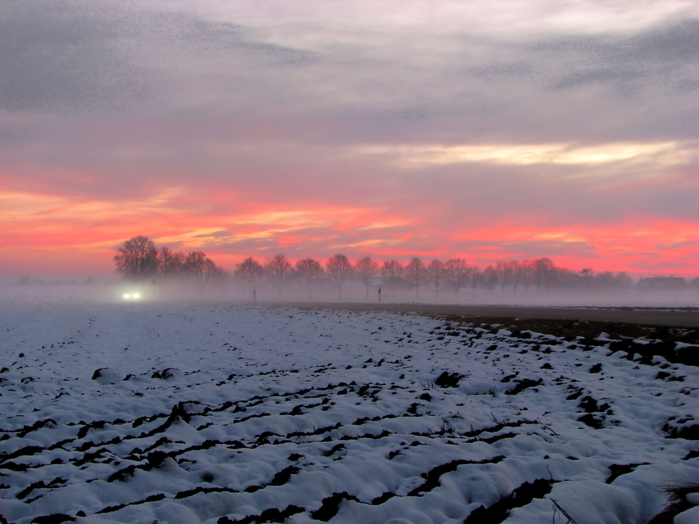 Lichter im Nebel