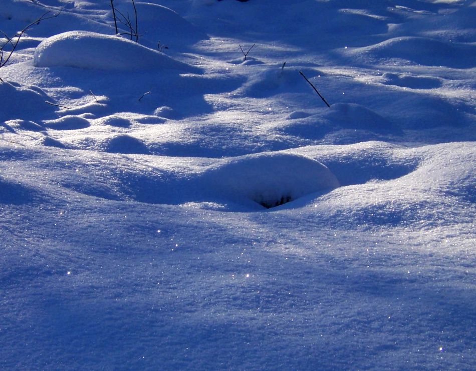 Lichter im Schnee