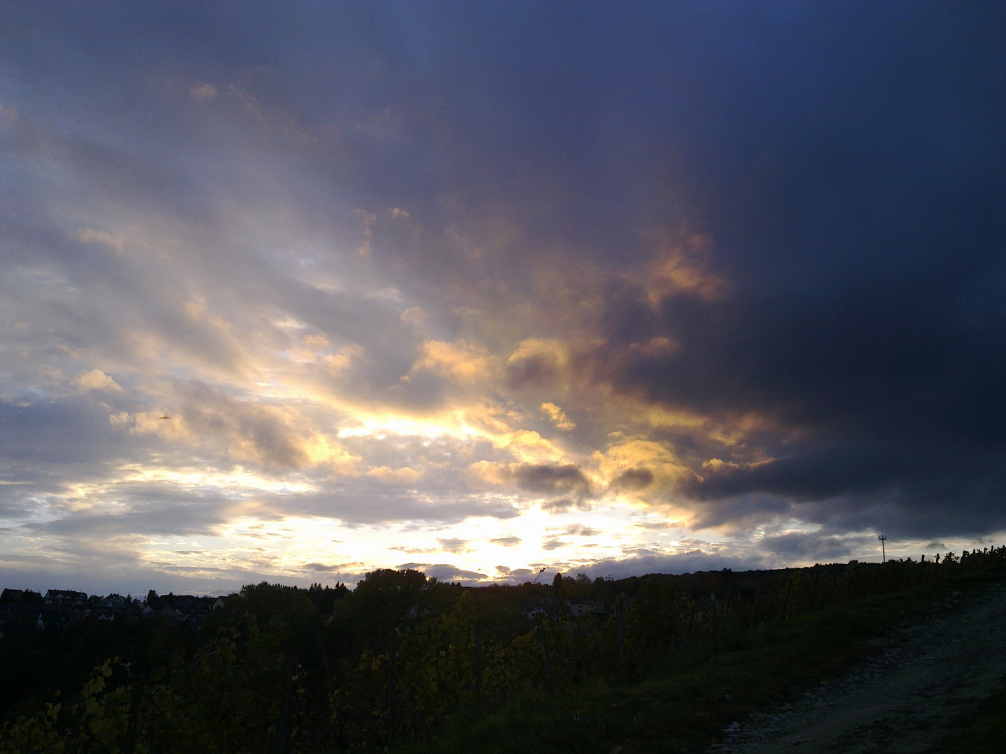 Lichter über den Weinbergen