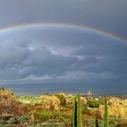 LICHTER UMBRIENS/Italy - was für Farben!