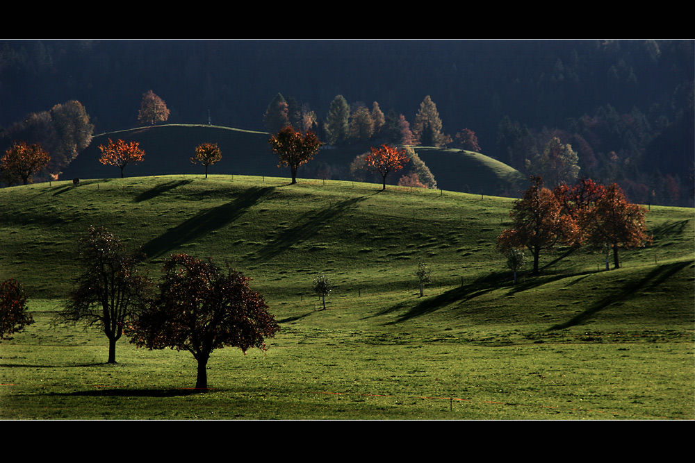 Lichter und Schatten