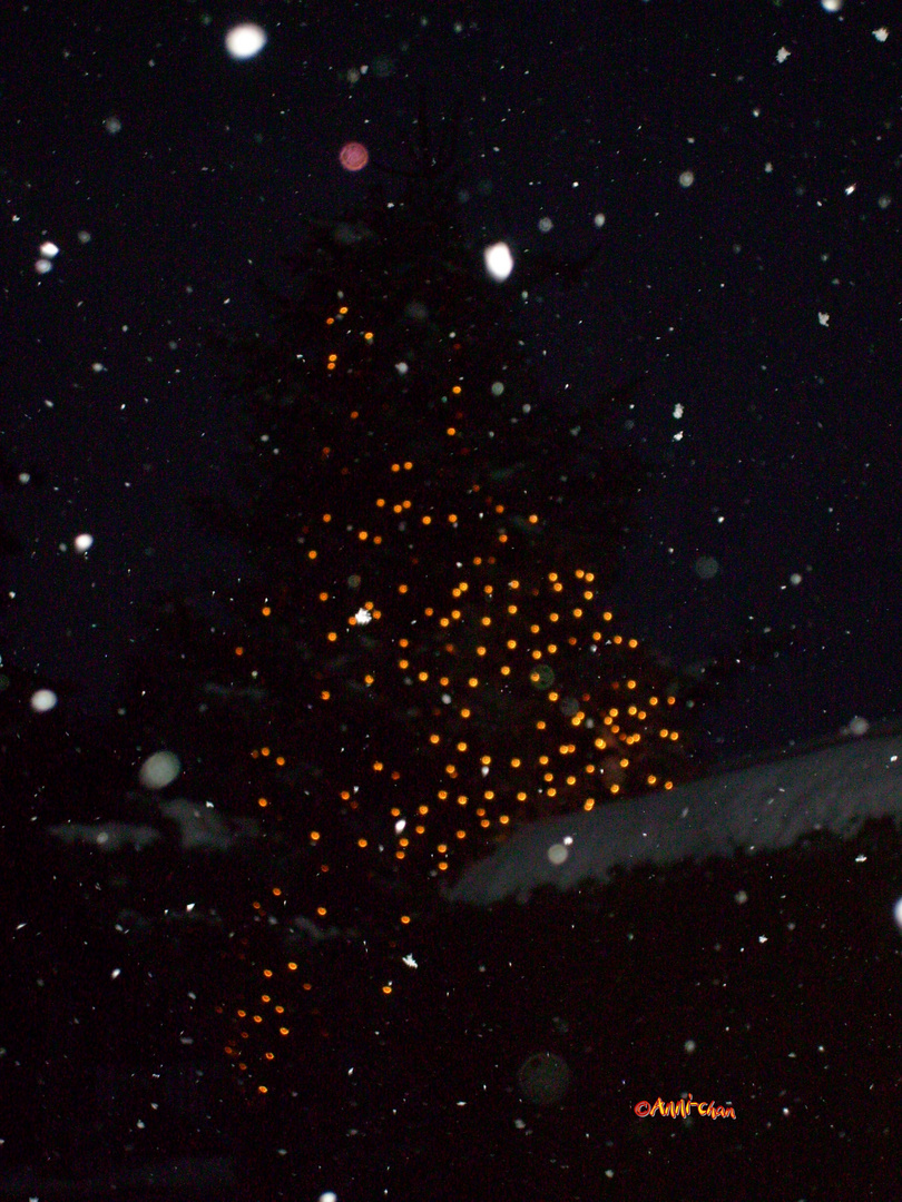 Lichterbaum mit Schneeflocken
